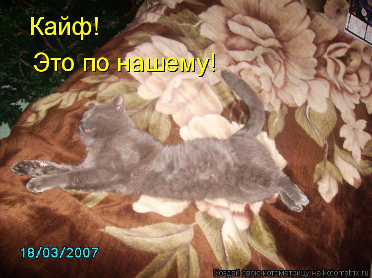 Котоматрица: Кайф!  Это по нашему!