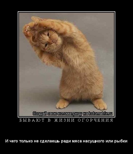 Котоматрица: Б Ы В А Ю Т   В   Ж И З Н И   О Г О Р Ч Е Н И Я 