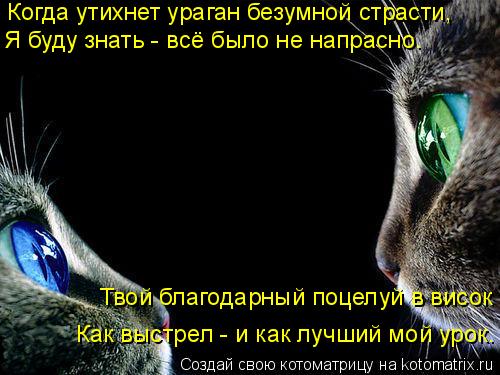 Котоматрица: Когда утихнет ураган безумной страсти, Я буду знать - всё было не напрасно. Твой благодарный поцелуй в висок - Как выстрел - и как лучший мой у