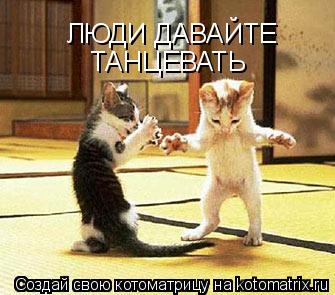 Котоматрица: ЛЮДИ ДАВАЙТЕ ТАНЦЕВАТЬ