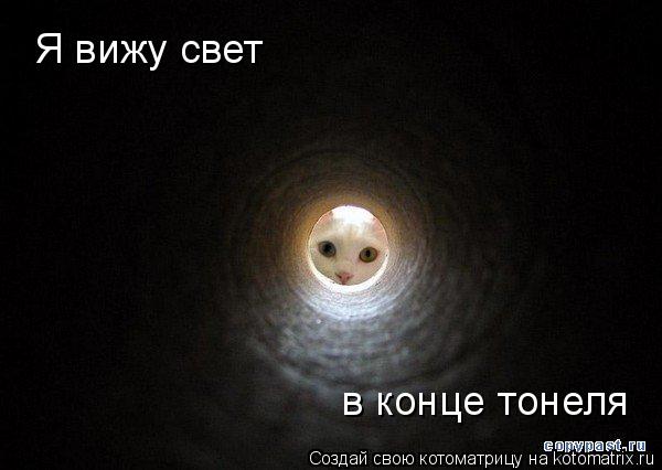 Котоматрица: Я вижу свет в конце тонеля
