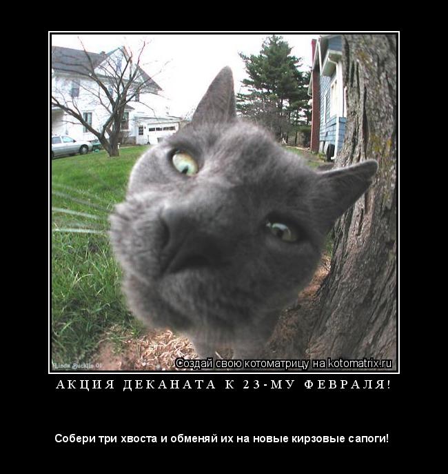 Котоматрица: А К Ц И Я   Д Е К А Н А Т А   К   2 3 - М У   Ф Е В Р А Л Я ! 