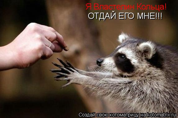 Котоматрица: Я Властелин Кольца!  ОТДАЙ ЕГО МНЕ!!!