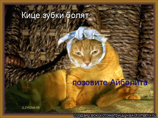 Котоматрица: Кице зубки болят позовите Айболита