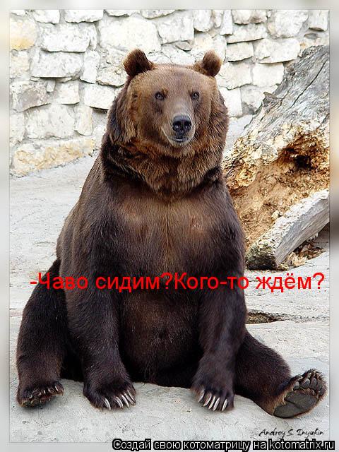 Котоматрица: -Чаво сидим?Кого-то ждём?