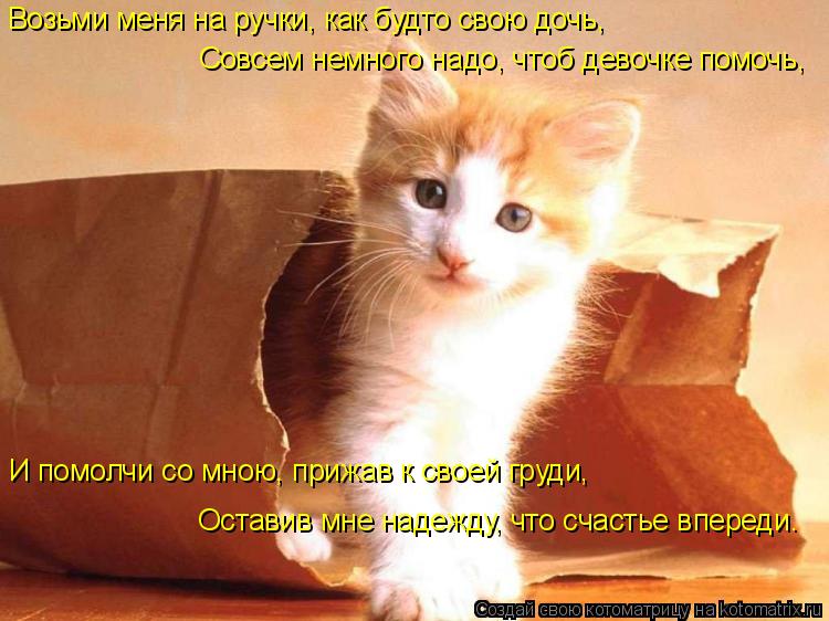 Котоматрица: Возьми меня на ручки, как будто свою дочь, Совсем немного надо, чтоб девочке помочь, И помолчи со мною, прижав к своей груди, Оставив мне наде