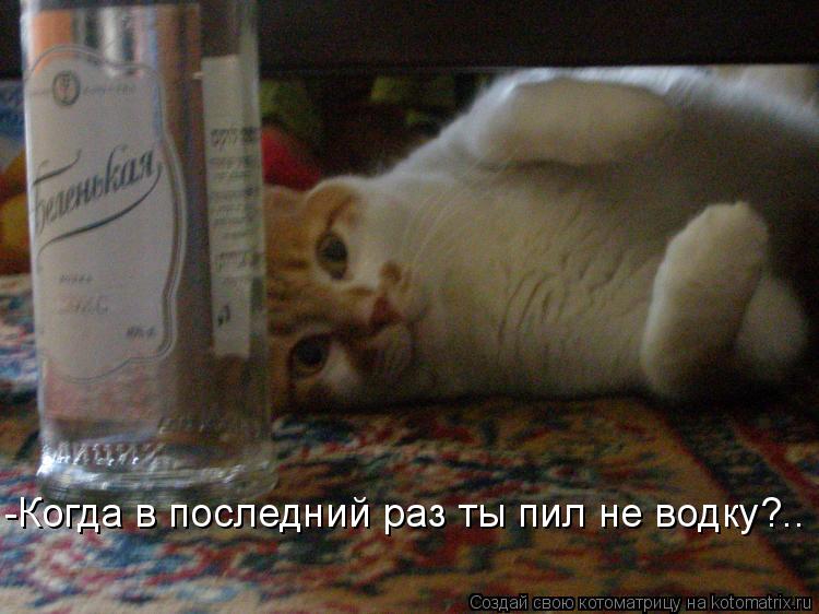 Котоматрица: -Когда в последний раз ты пил не водку?..