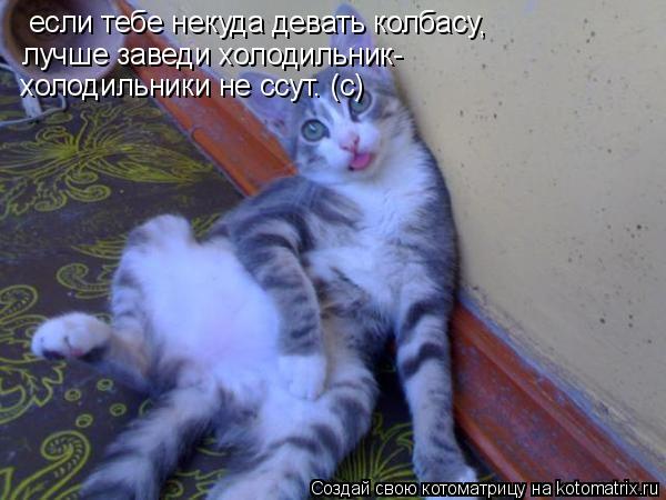 Котоматрица: если тебе некуда девать колбасу , лучше заведи холодильник- холодильники не ссут. (с)