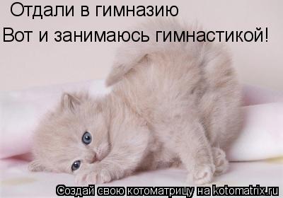 Отдали в гимназию Вот и занимаюсь гимнастикой!... Котоматрица: Отдали в гимназию Вот и занимаюсь гимнастикой!