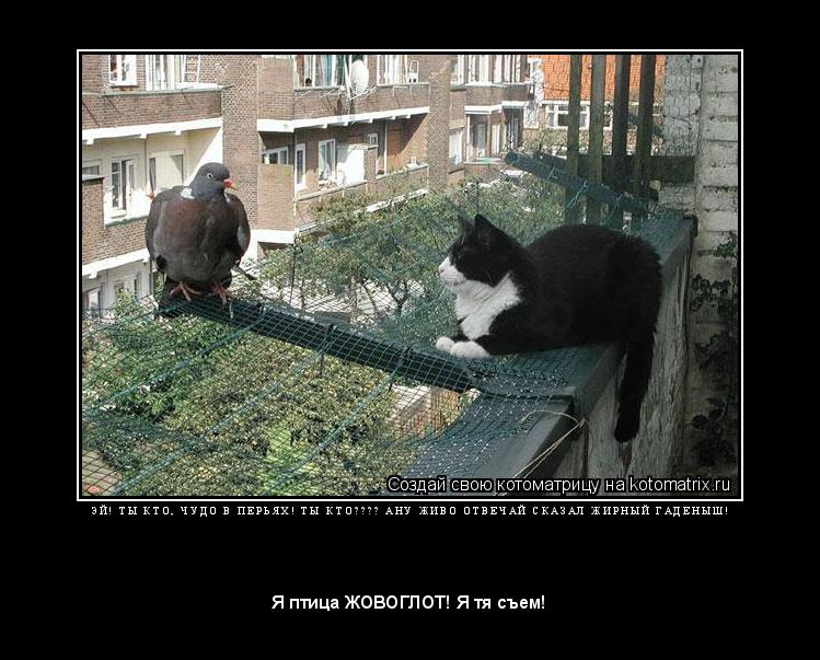 Котоматрица: Э Й !   Т Ы   К Т О ,   Ч У Д О   В   П Е Р Ь Я Х !   Т Ы   К Т О ? ? ? ?   А Н У   Ж И В О   О Т В Е Ч А Й   С К А З А Л   Ж И Р Н Ы Й   Г А Д Е Н Ы 
