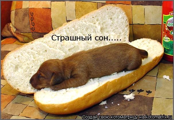 Котоматрица: Страшный сон.....