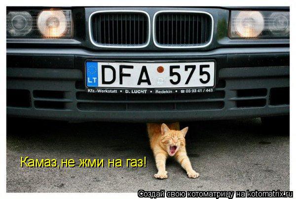 Котоматрица: Камаз,не жми на газ!