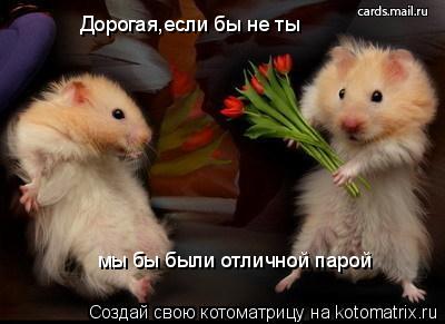 Дорогая,если бы не ты мы бы были отличной парой... Котоматрица: Дорогая,если бы не ты мы бы были отличной парой