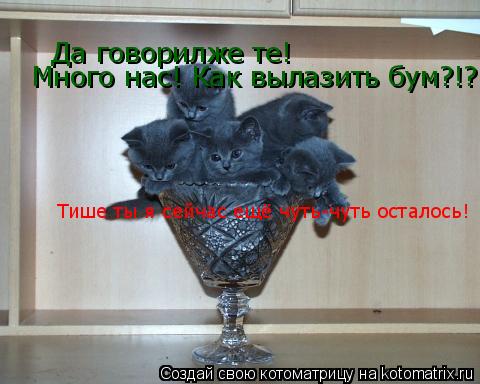 Котоматрица: Да говорилже те! Много нас! Как вылазить бум?!?! Тише ты я сейчас ещё чуть-чуть осталось!
