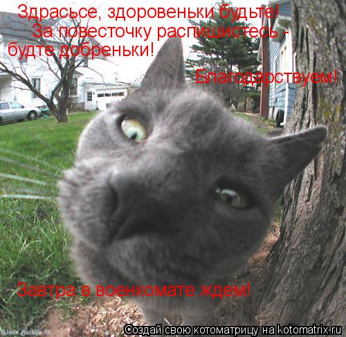 Котоматрица: Здрасьсе, здоровеньки будьте!  За повесточку распишистесь - будте добреньки! Благодарствуем! Завтра в военкомате ждем!