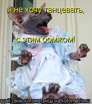 Котоматрица: я не хочу танцевать, с этим бомжом!