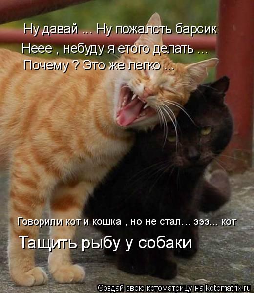 Ну давай ... Ну пожалсть барсик Неее , небуду я етого делать ... Почему ? Это же легко ... Говорили к... Котоматрица: Ну давай ... Ну пожалсть барсик Неее , небуду я етого делать ... Почему ? Это же легко ... Говорили кот и кошка , но не стал... эээ... кот Тащить рыбу