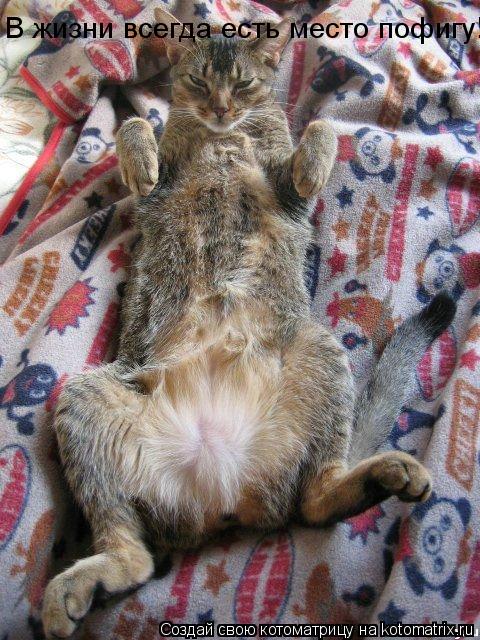 Котоматрица: В жизни всегда есть место пофигу!
