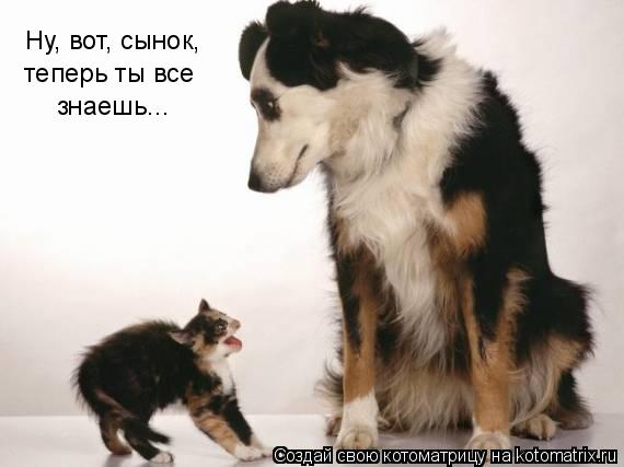 Котоматрица: Ну, вот, сынок, теперь ты все знаешь...