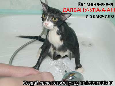 Котоматрица: Каг меня-я-я-я  ДАЛБАНУ-УЛА-А-А!!! и замочило