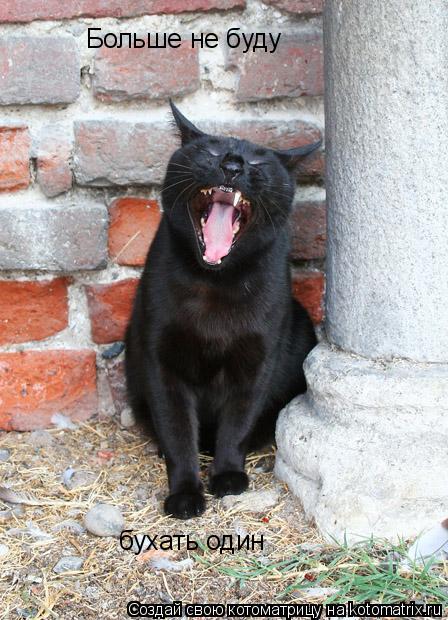 Котоматрица: Больше не буду бухать один