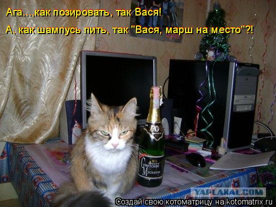 Ага...,как позировать, так Вася! Ага...,как позировать, так Вася! А, как шампусь пить, так "Вася, мар... Котоматрица: Ага...,как позировать, так Вася! Ага...,как позировать, так Вася! А, как шампусь пить, так "Вася, марш на место"?! А, как шампусь пить, так "Вася, мар
