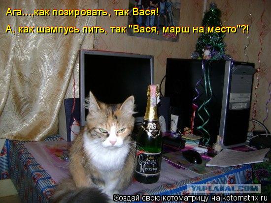 Котоматрица: Ага...,как позировать, так Вася! Ага...,как позировать, так Вася! А, как шампусь пить, так "Вася, марш на место"?! А, как шампусь пить, так "Вася, мар