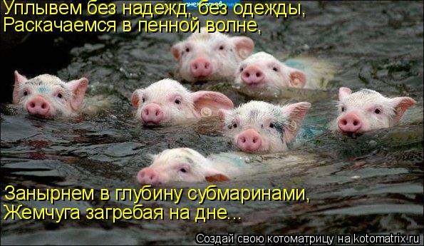 Уплывем без надежд, без одежды, Занырнем в глубину субмаринами, Жемчуга загребая на дне... Раскачаемс... Котоматрица: Уплывем без надежд, без одежды, Занырнем в глубину субмаринами, Жемчуга загребая на дне... Раскачаемся в пенной волне,