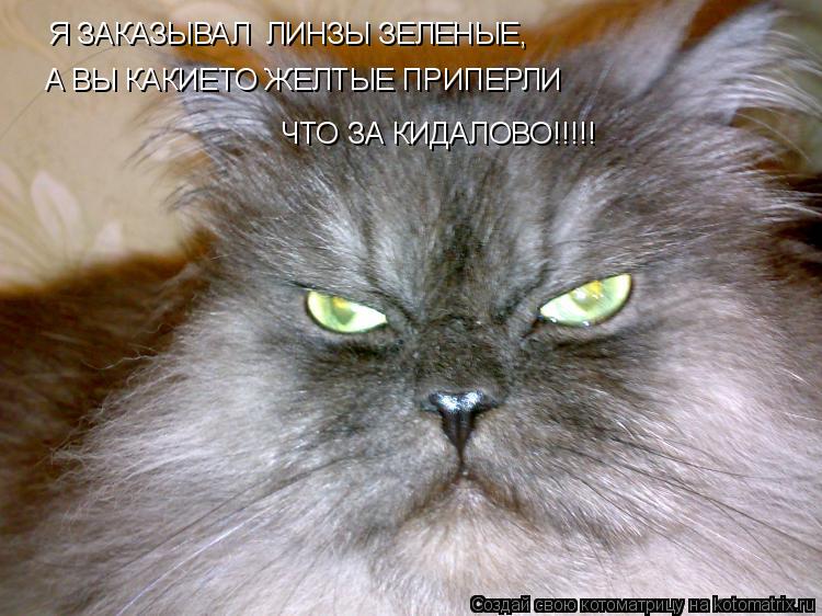 Котоматрица: Я ЗАКАЗЫВАЛ  ЛИНЗЫ ЗЕЛЕНЫЕ,  А ВЫ КАКИЕТО ЖЕЛТЫЕ ПРИПЕРЛИ ЧТО ЗА КИДАЛОВО!!!!!