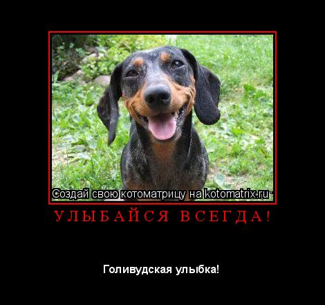 Котоматрица: У Л Ы Б А Й С Я   В С Е Г Д А ! 