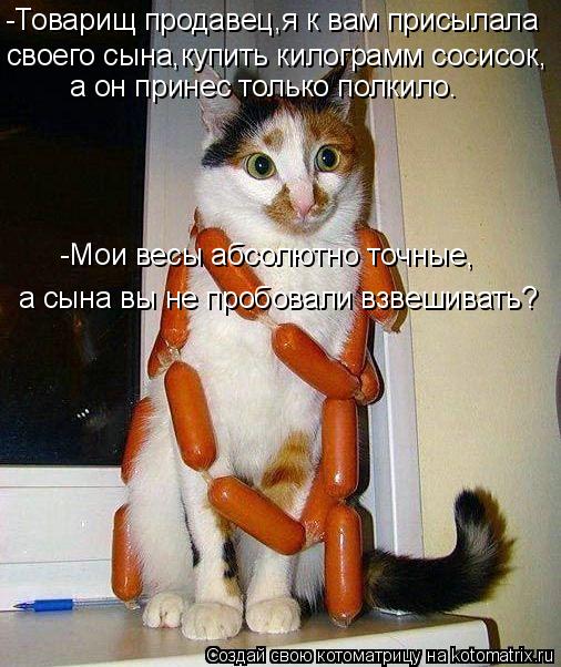 -Товарищ продавец,я к вам присылала своего сына,купить килограмм сосисок, а он принес только полкило... Котоматрица: -Товарищ продавец,я к вам присылала своего сына,купить килограмм сосисок, а он принес только полкило. -Мои весы абсолютно точные, а сына вы н
