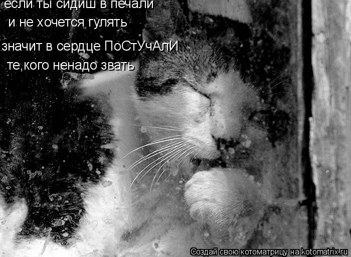 Котоматрица: если ты сидиш в печали и не хочется гулять значит в сердце ПоСтУчАлИ те,кого ненадо звать