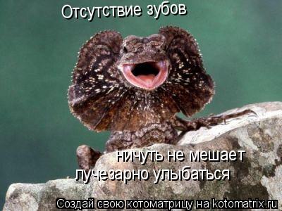 Котоматрица: Отсутствие зубов ничуть не мешает лучезарно улыбаться