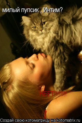 милый пупсик , Интим? НЕЕТ!!!!!!!!... Котоматрица: милый пупсик , Интим? НЕЕТ!!!!!!!!