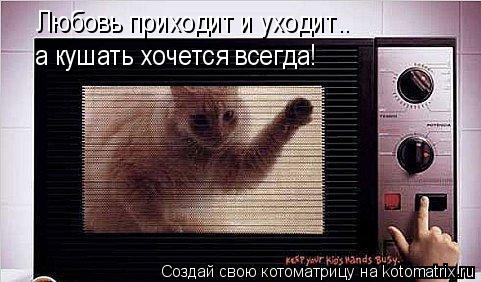 Котоматрица: Любовь приходит и уходит.. а кушать хочется всегда!