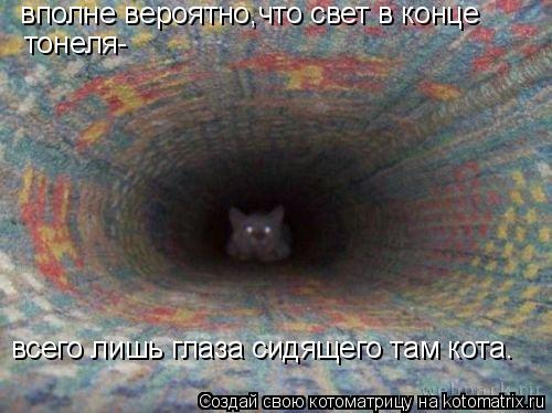 Котоматрица: вполне вероятно,что свет в конце  тонеля- всего лишь глаза сидящего там кота.