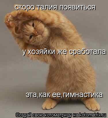 скоро талия появиться у хозяйки же сработала эта,как ее,гимнастика... Котоматрица: скоро талия появиться у хозяйки же сработала эта,как ее,гимнастика