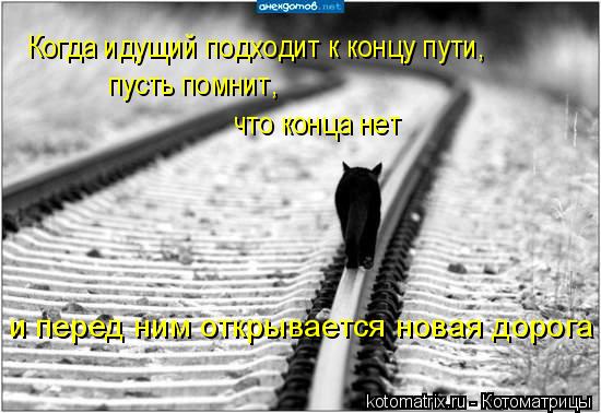 Котоматрица: Когда идущий подходит к концу пути,  пусть помнит,  что конца нет  и перед ним открывается новая дорога