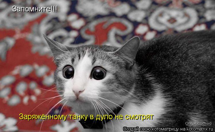 Котоматрица: Запомните!!! Заряжённому танку в дуло не смотрят