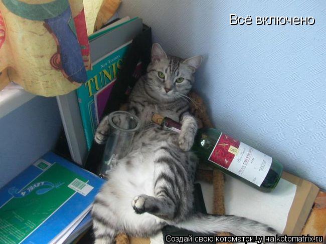 Всё включено... Котоматрица: Всё включено