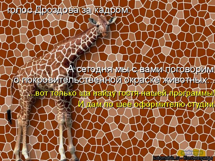 голос Дроздова за кадром: А сегодня мы с вами поговорим о покровительственной окраске животных... ..... Котоматрица: голос Дроздова за кадром: А сегодня мы с вами поговорим о покровительственной окраске животных... ...вот только ща найду гостя нашей програм