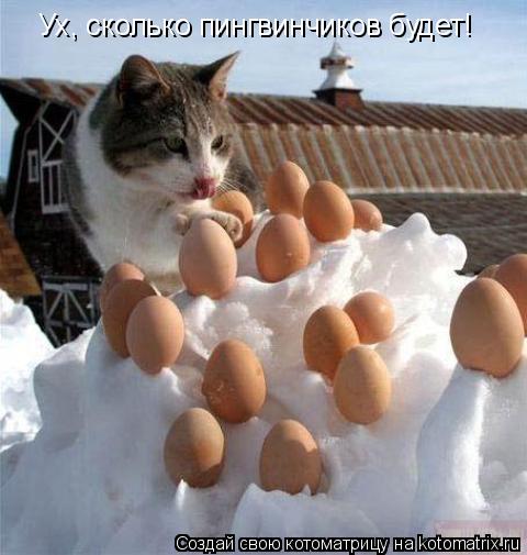 Котоматрица: Ух, сколько пингвинчиков будет!