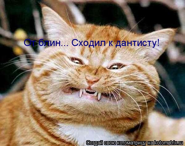 Котоматрица: От блин... Сходил к дантисту!