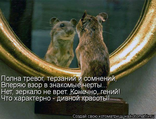 Полна тревог, терзаний и сомнений, Вперяю взор в знакомые черты... Нет, зеркало не врет. Конечно, ген... Котоматрица: Полна тревог, терзаний и сомнений, Вперяю взор в знакомые черты... Нет, зеркало не врет. Конечно, гений! Что характерно - дивной красоты!