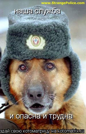Котоматрица: наша служба и опасна и трудна