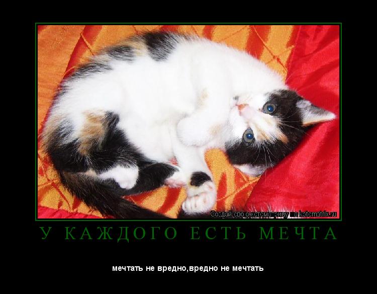 Котоматрица: У   К А Ж Д О Г О   Е С Т Ь   М Е Ч Т А 