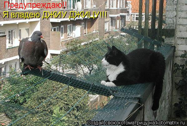 Котоматрица: Предупреждаю!! Я владею ДЖИУ ДЖИЦУ!!!