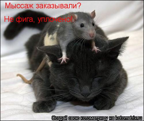 Котоматрица: Мыссаж заказывали?  Не фига, уплочено!