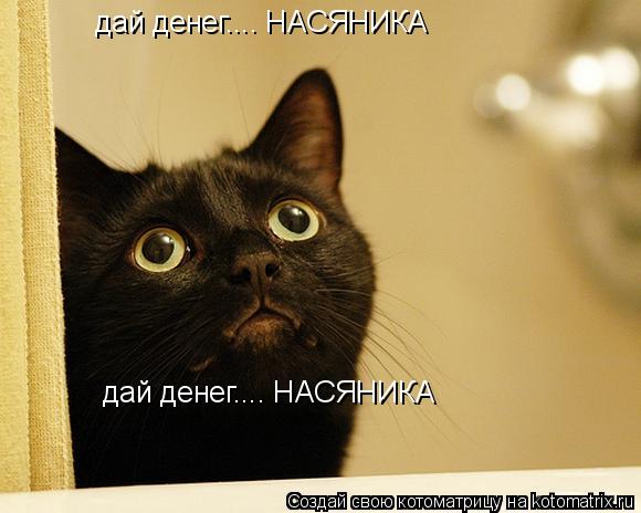 Котоматрица: дай денег.... НАСЯНИКА дай денег.... НАСЯНИКА