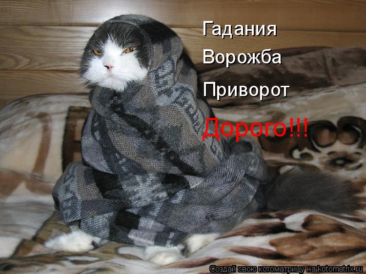 Котоматрица: Гадания Ворожба Приворот Дорого!!!